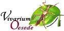 Veranstaltungsbild Vivarium Oesede